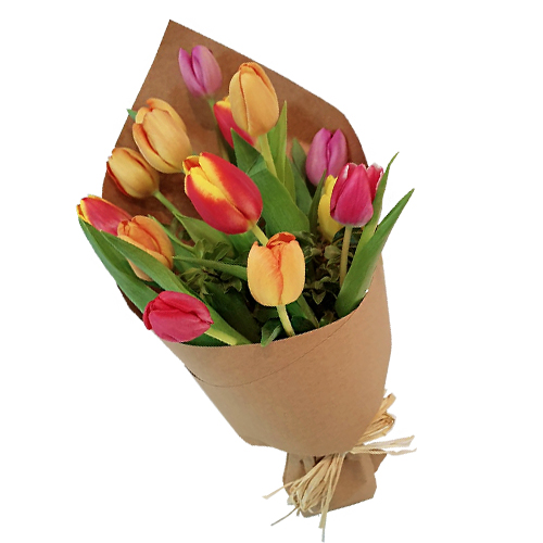Ramo de 12 tulipanes cultivados mixtos envueltos en papel kraft y moño de rafia natural. Tonos variados.